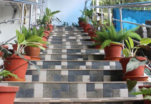 Tree Blanche MunnarHotel Overview