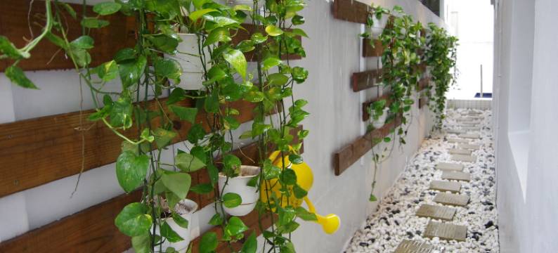 花莲爱曦民宿图片