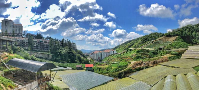 基亚花园小木屋(Kea Garden Mini Chalet)图片