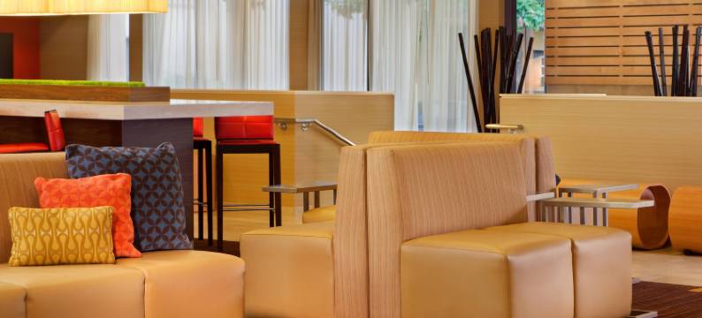 达拉斯拉斯科琳娜万怡酒店(Courtyard Dallas Las Colinas)图片