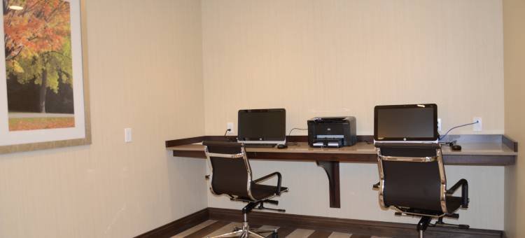 Holiday Inn Express 奇克托瓦加(Holiday Inn Express Cheektowaga North East)图片