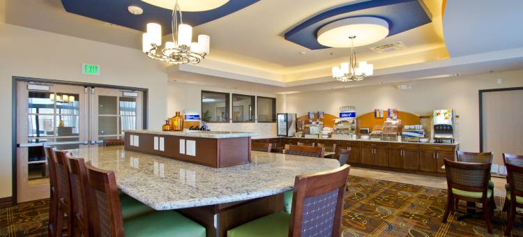 智选假日套房酒店丹佛芮(Holiday Inn Express & Suites Denver East-Peoria Street)图片