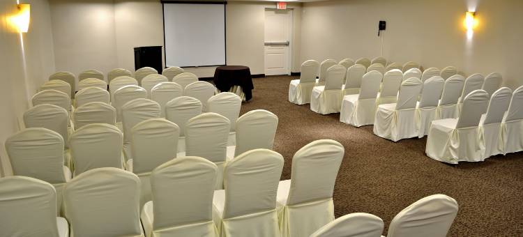 Holiday Inn 雷诺萨ZONA DORADA的(Holiday Inn Reynosa Zona Dorada)图片