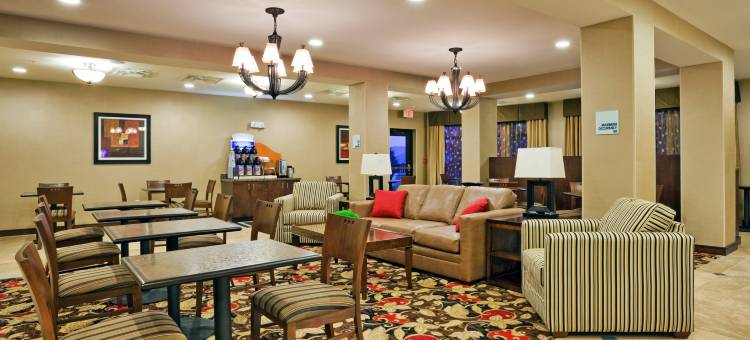 智选假日套房酒店柯达东赛维尔维尔(Holiday Inn Express & Suites Kodak East-Sevierville)图片