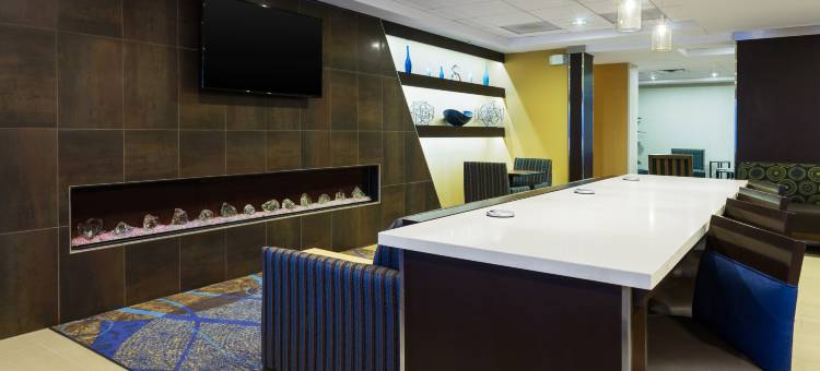 智选假日套房酒店米德兰环250(Holiday Inn Express & Suites Midland Loop 250)图片