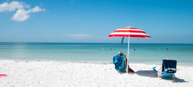 萨拉索塔voco酒店(voco Sarasota)图片