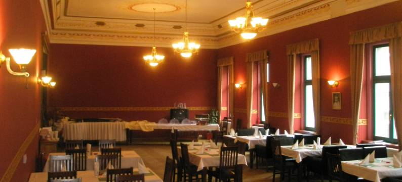 扎泰茨兹莱提列弗酒店(Zlatý Lev Žatec)图片