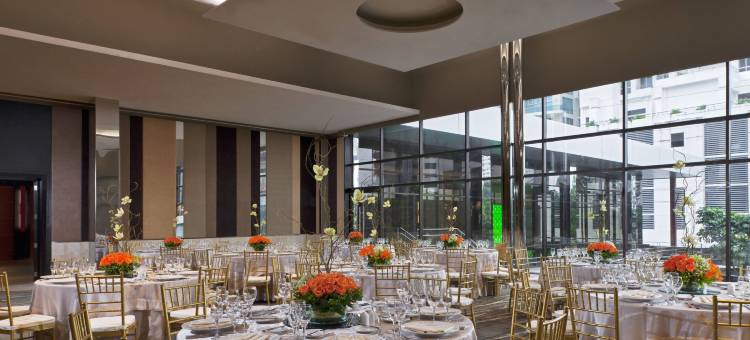 巴拿马城喜来登大酒店(Sheraton Grand Panama)图片