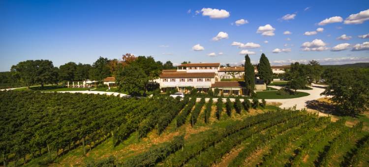 梅尼赫蒂红酒酒店及酒庄(Meneghetti Wine Hotel and Winery - Relais & Chateaux)图片