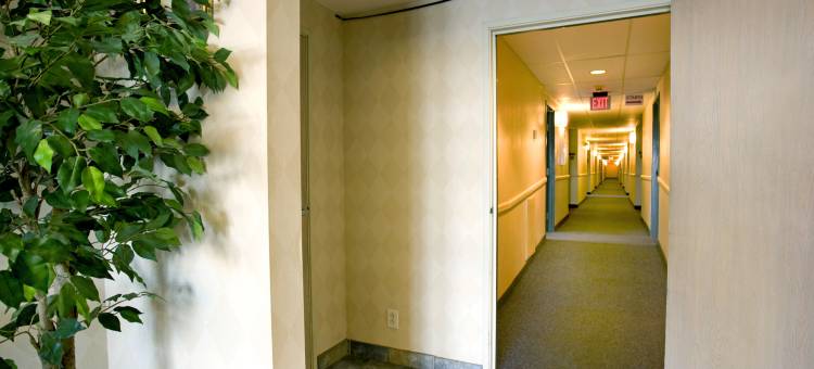 田纳西克拉克斯维尔豪生酒店(Howard Johnson by Wyndham Clarksville Tennessee)图片