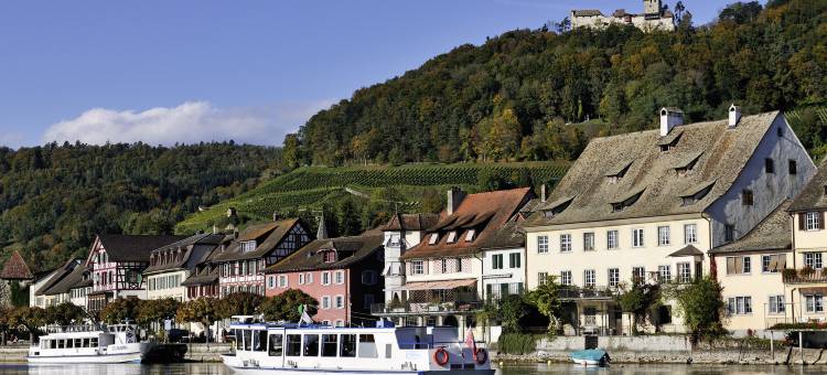 温德姆维也纳之家祖尔布莱赫沙夫豪森(Vienna House by Wyndham Zur Bleiche Schaffhausen)图片