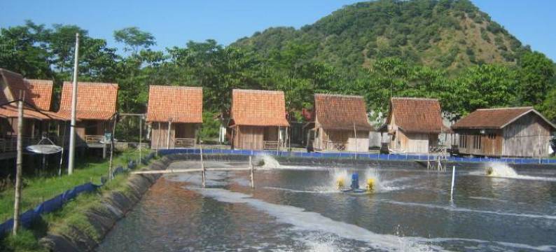 柬埔寨尼拉扬酒店(Kampong Nelayan Resort)图片