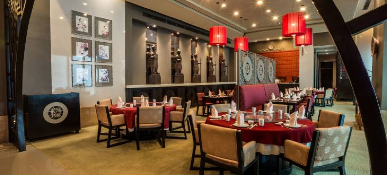 阿尔法套房酒店(The Alpha Suites)图片