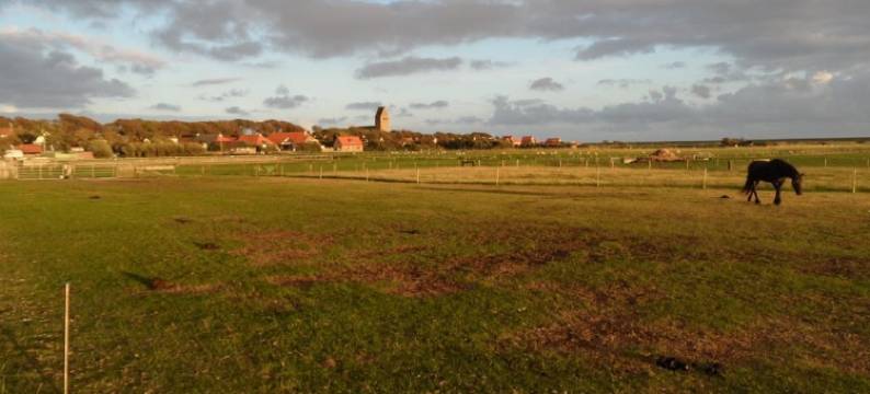 The Sunset Apartments图片