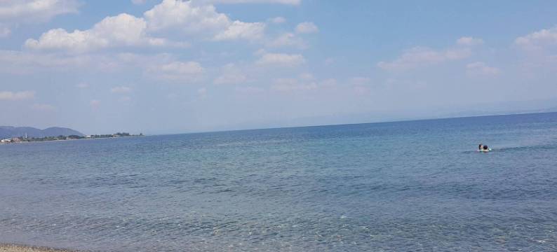 阿尔特诺卢克油橄榄酒店(Zeytin Otel Altinoluk)图片