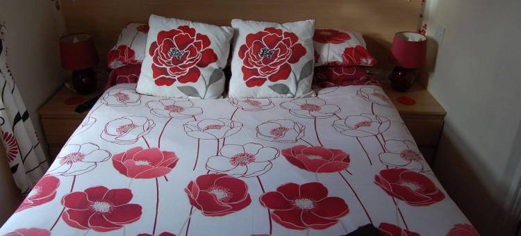 乔尔通酒店(OYO The Chorlton Hotel)图片