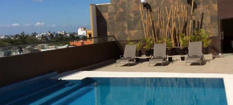 韦拉克鲁斯套房酒店(Veracruz Suites Hotel)图片