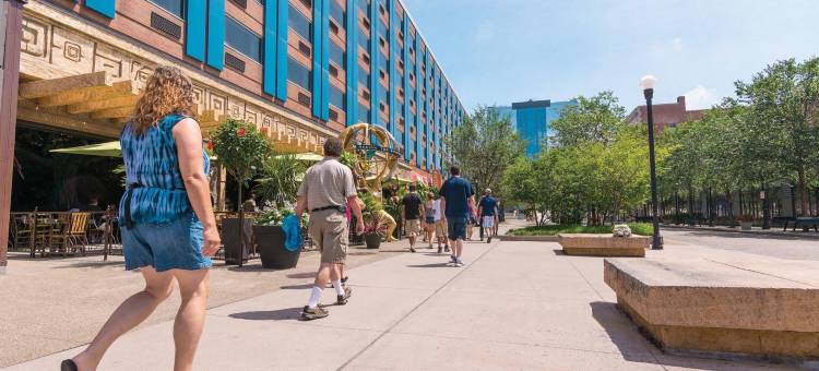 尼亚加拉瀑布喜来登酒店(Sheraton Niagara Falls)图片