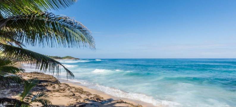 阿雷西博681海洋驱动器的大西洋窗口(Ventana Al Atlantico at Arecibo 681 Ocean Drive)图片