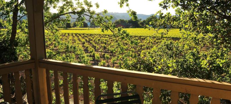 葡萄园江山旅馆(Vineyard Country Inn)图片