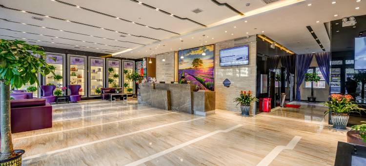 麗枫酒店(固安新机场店)图片