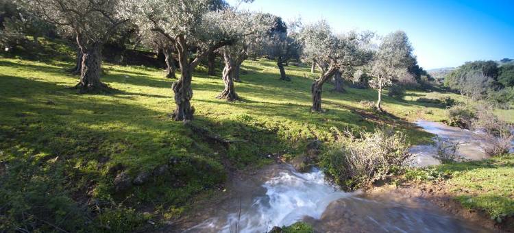 帕罗德乡村旅馆(Parod Country Lodge)图片