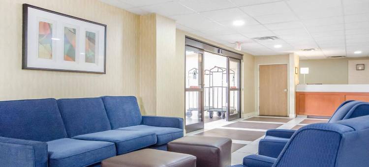 舒适酒店(Comfort Inn)图片