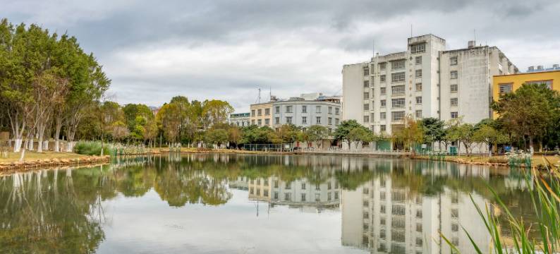 蒙自若水轻居影视酒店图片