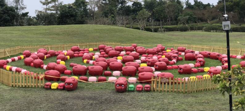 宜兰512木屋图片