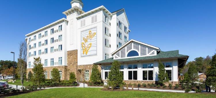 达莱坞梦想度假村(Dollywood's DreamMore Resort and Spa)图片