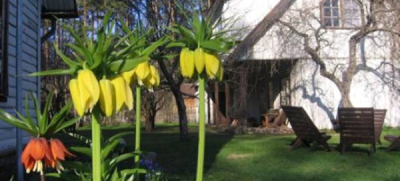 曼妮农场度假屋(Männi Farm Holiday House)图片