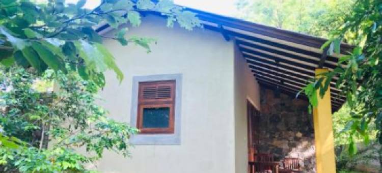 特温布洛克斯自然度假屋(Twin Blocks Nature Resort)图片