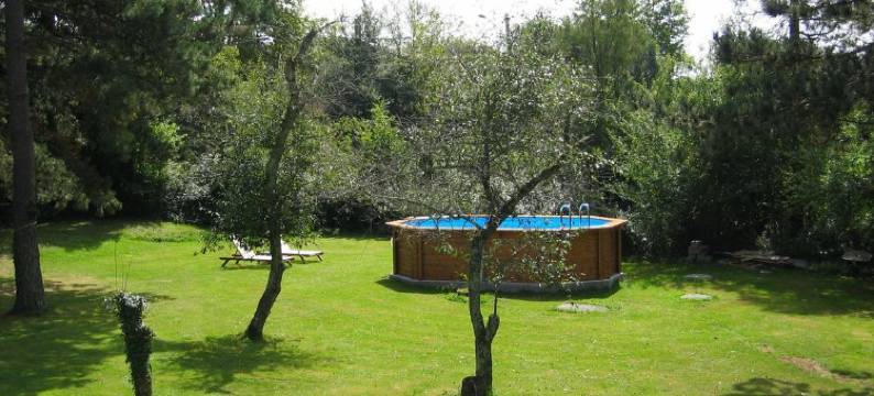 Le Canard Au Parapluie Rouge图片