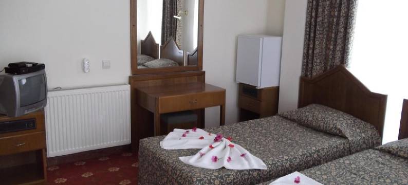 安提克里德凡酒店(Antik Ridvan Hotel)图片