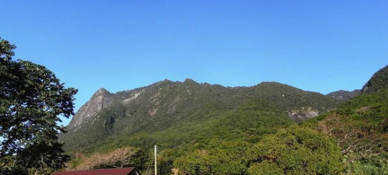屋久岛旅馆(Guest House Yakushima)图片