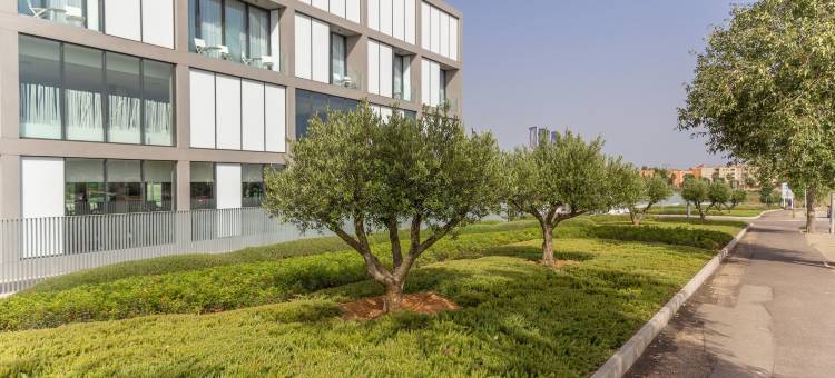 Rafa Nadal 学院宿舍位于 Mallorca(Rafa Nadal Academy Residence in Mallorca)图片