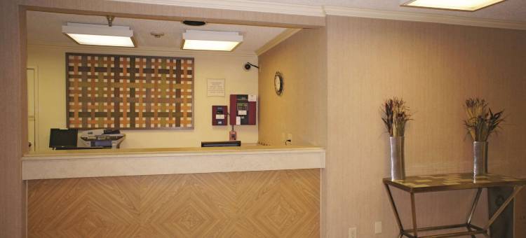 坦帕布兰顿西拉昆塔温德姆套房酒店(La Quinta Inn & Suites by Wyndham Tampa Brandon West)图片