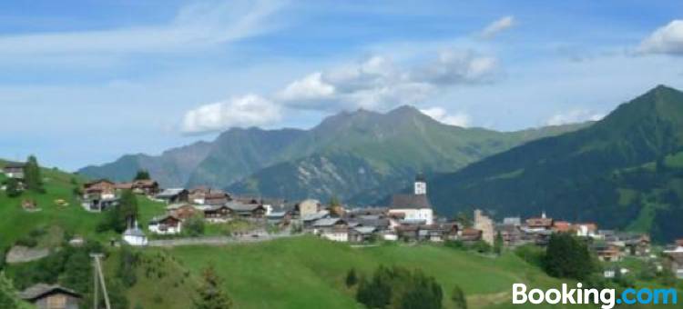 阿里皮纳尔酒店(Hotel Alpina)图片