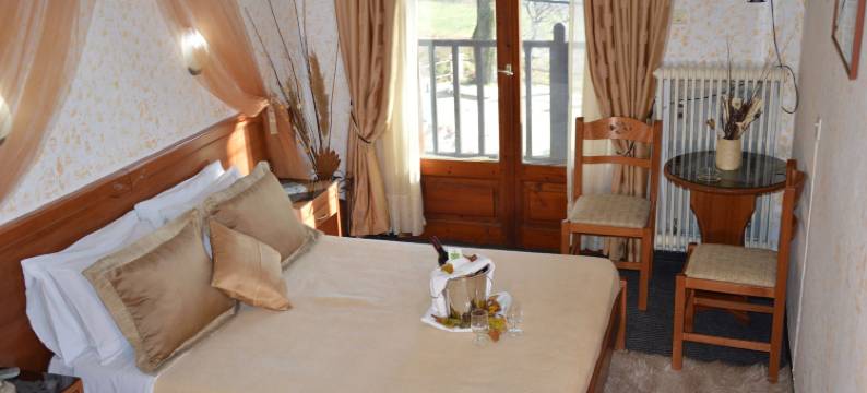 哈尼子思酒店(Hotel Hani Zisi)图片