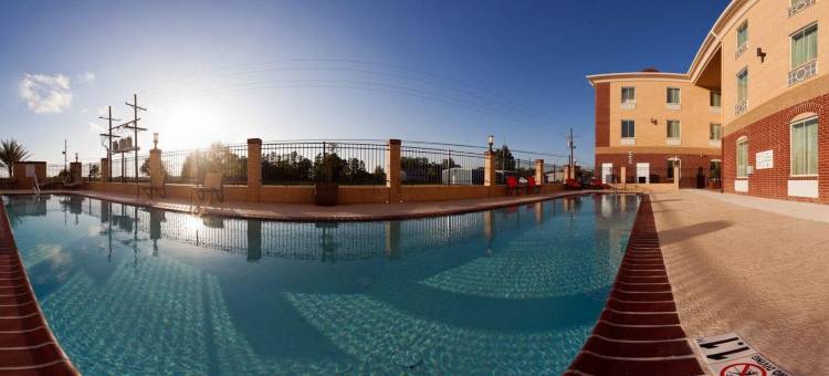 Holiday Inn Express & Suites RACELAND - 公路90 by IHG(Holiday Inn Express & Suites Raceland - Highway 90)图片