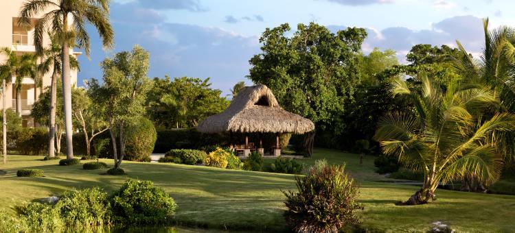 蓬塔卡纳威斯汀度假村及俱乐部(The Westin Puntacana Resort & Club)图片