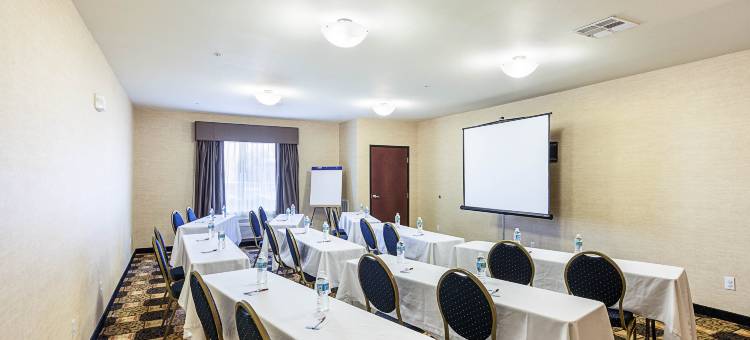 舒适套房酒店-圣安东尼奥北斯通奥克(Comfort Suites San Antonio North - Stone Oak)图片