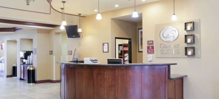 舒适套房酒店-普弗拉热维尔奥斯汀北(Comfort Suites Pflugerville - Austin North)图片