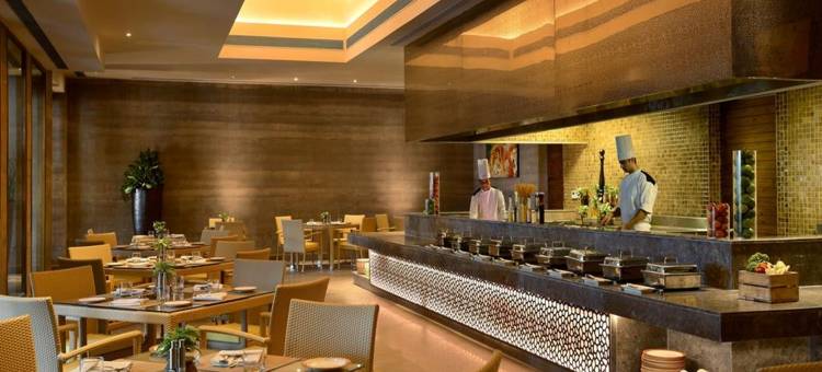 拉里曼加酒店(The Lalit Mangar)图片