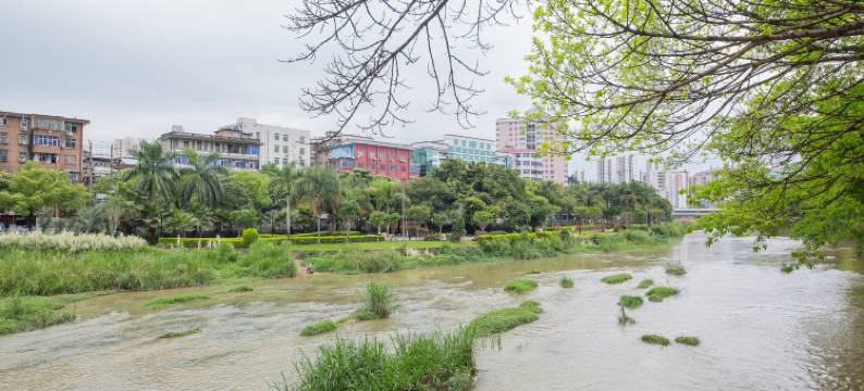 龙岩凤凰宾馆图片