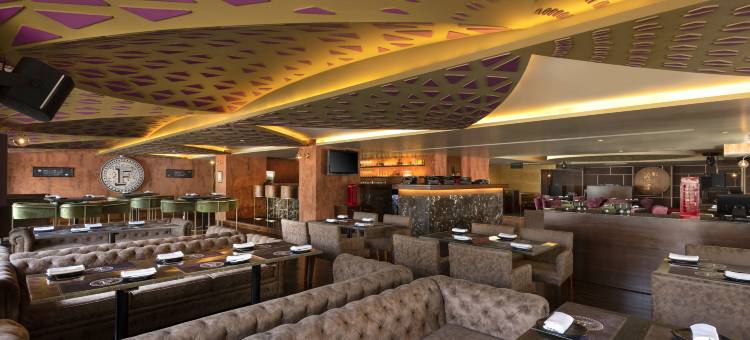 齐普尔市中心丽筠酒店(Radisson Jaipur City Center)图片