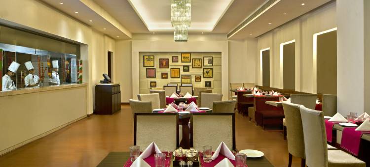 齐拉克普尔丽亭酒店(Park Plaza Zirakpur)图片