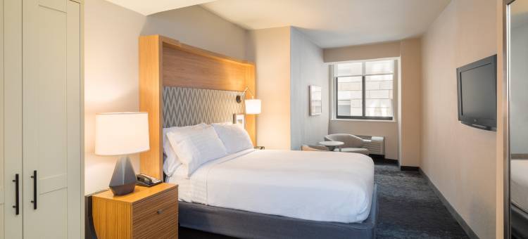 Holiday Inn 纽约市 - 华尔街(Holiday Inn New York City - Wall Street)图片
