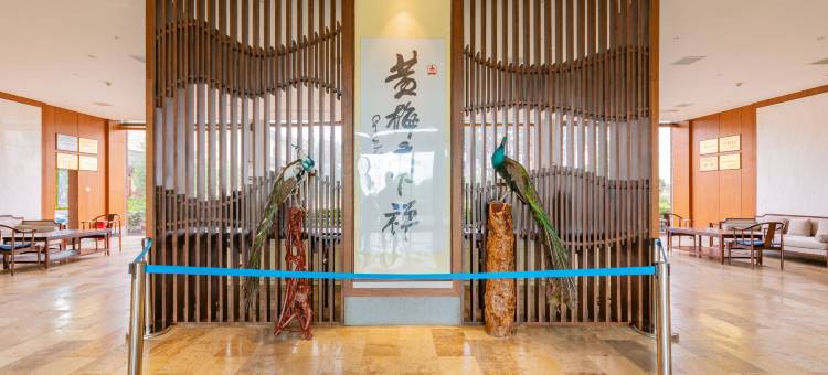 天下禅大酒店(黄梅邢绣娘生态园店)图片