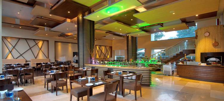 Ramada Plaza by Wyndham Pune Hinjewadi图片